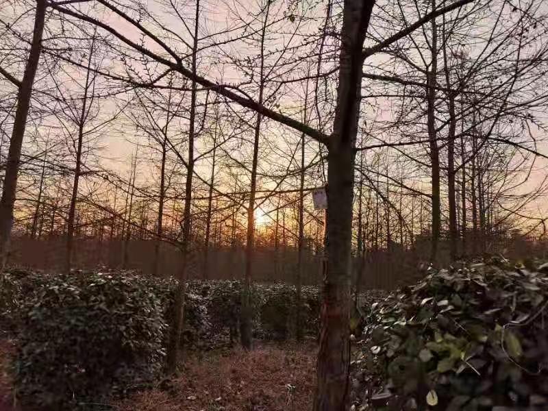 简介.jpg
